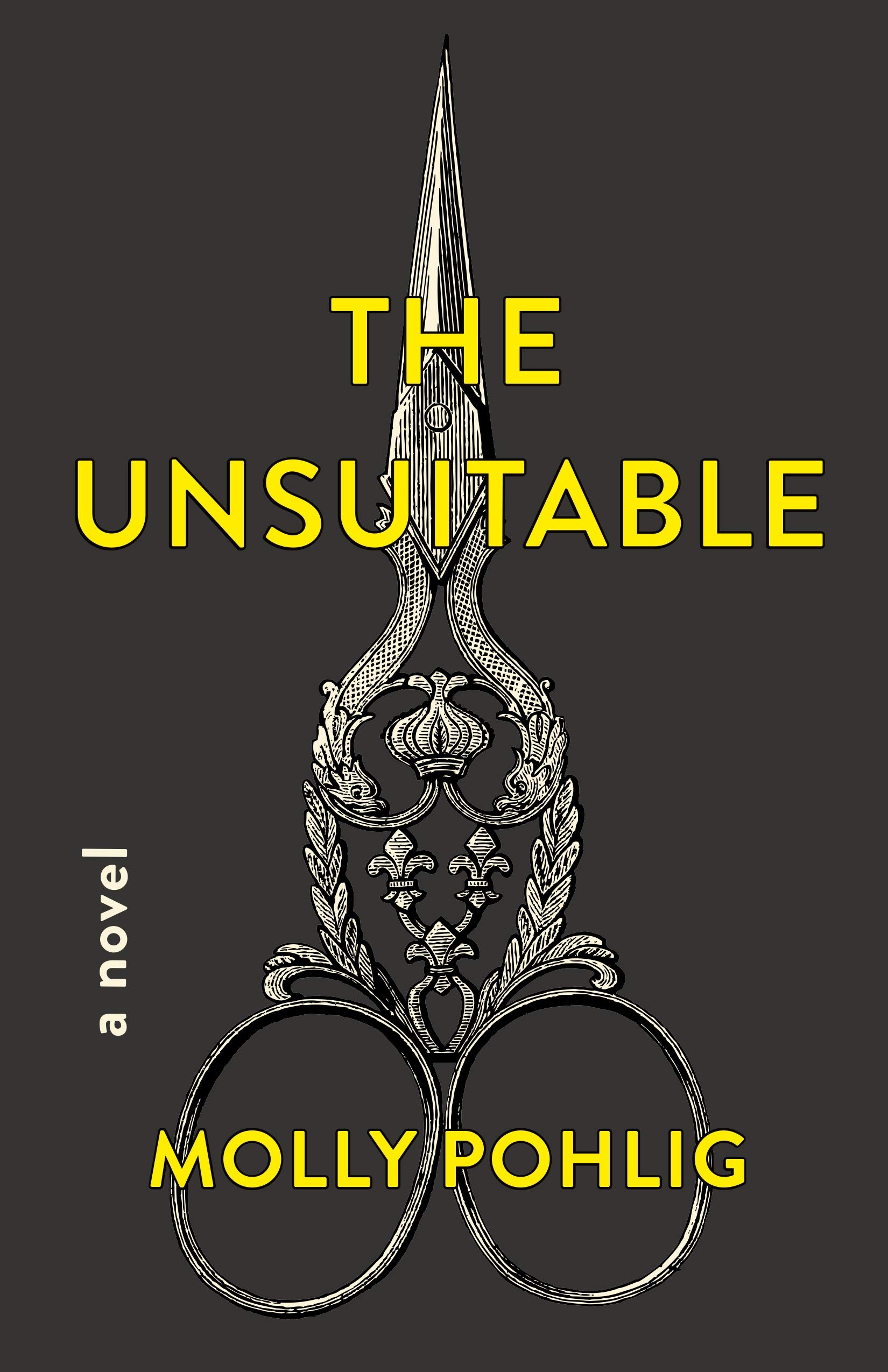 Side by Side Review: THE UNSUITABLE by Molly Pohlig